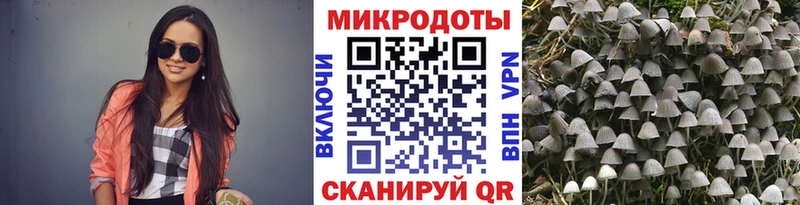 Купить  Рыльск  Галлюциногенные грибы ЛСД 
